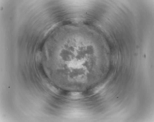 X0000088850093200706221711