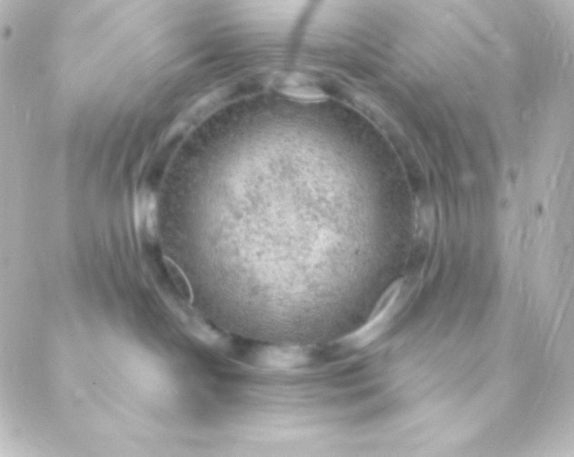 X0000088850094200706221711