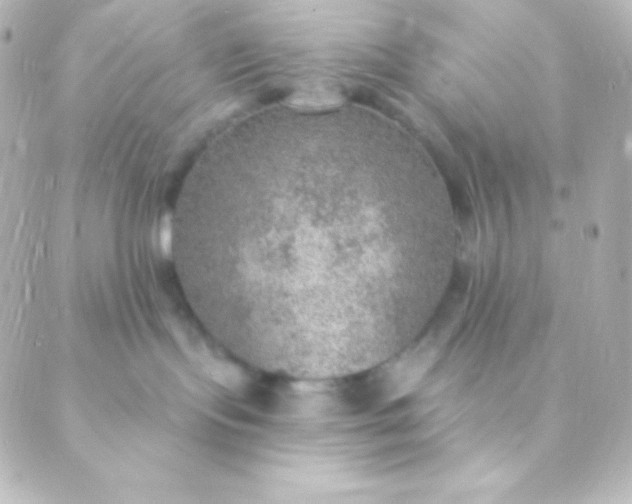 X0000088850095200706221711