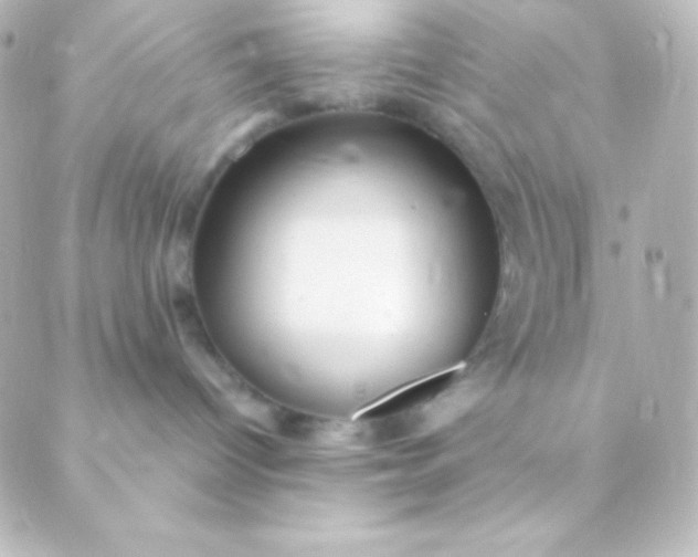 X0000088850096200706221711