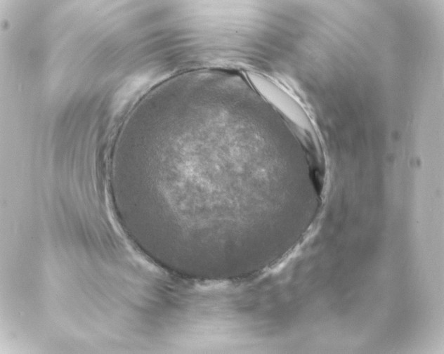 X0000088850097200706221710