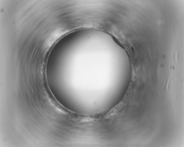 X0000088850098200706221710