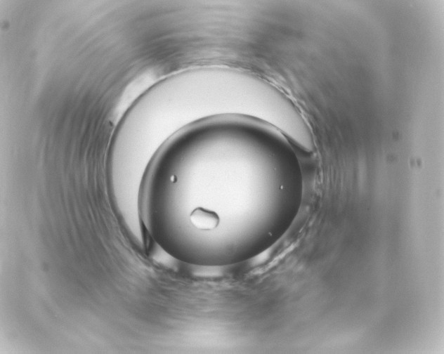 X0000088850099200706221710