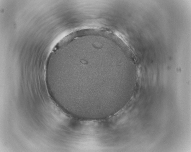 X0000088850100200706221710