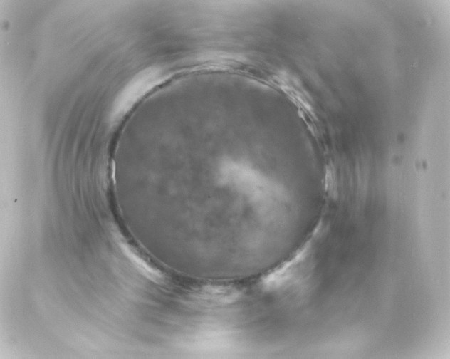 X0000088850101200706221710