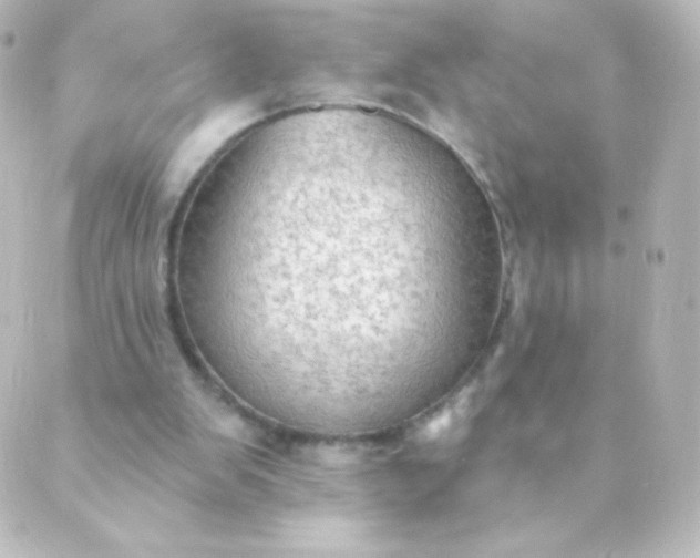 X0000088850103200706221710