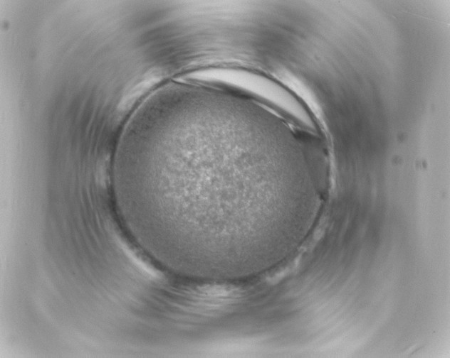 X0000088850105200706221710