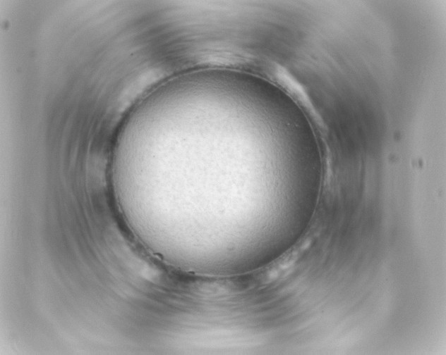 X0000088850106200706221710