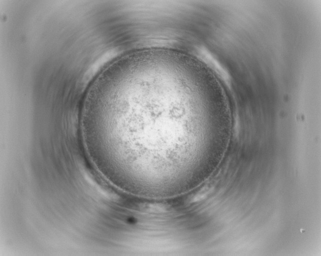 X0000088850107200706221710