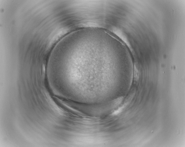 X0000088850109200706221710