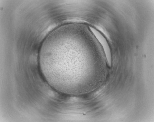 X0000088850111200706221710