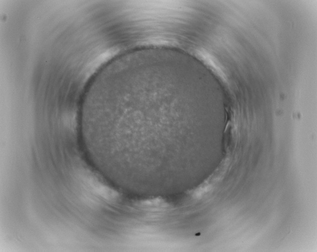 X0000088850112200706221710