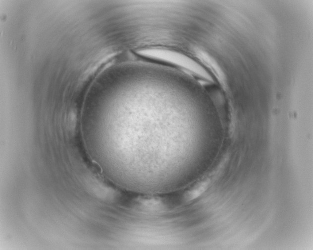 X0000088850113200706221710