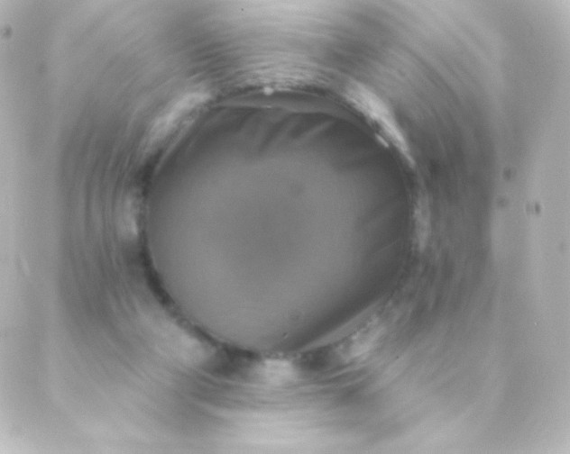 X0000088850114200706221710