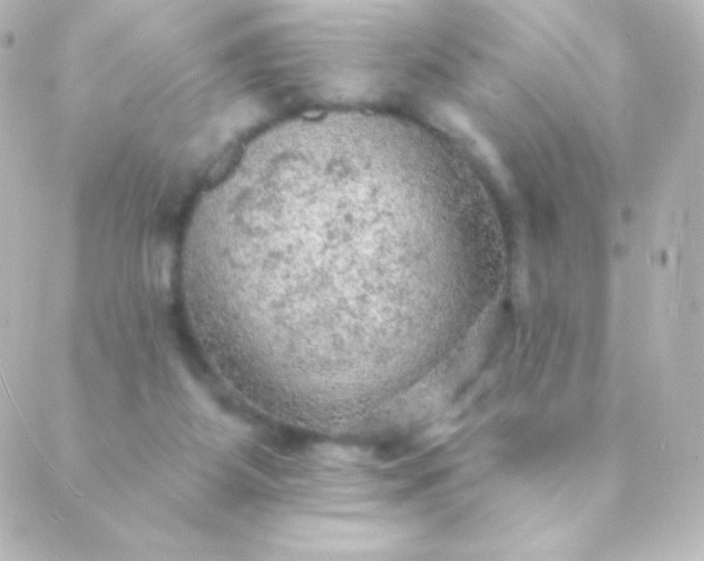 X0000088850115200706221710