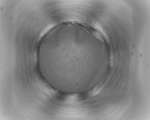 X0000088850116200706221710