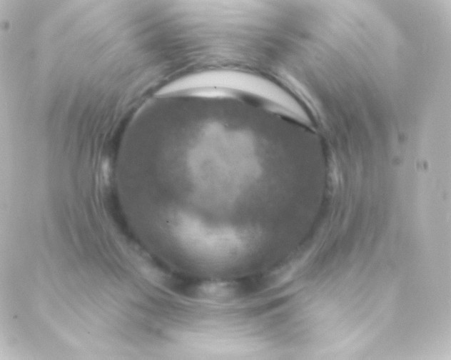 X0000088850117200706221710