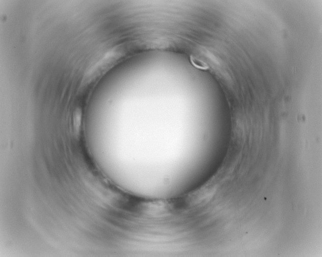 X0000088850118200706221710