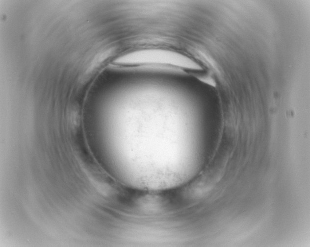 X0000088850119200706221710