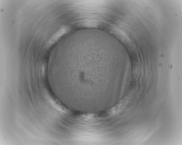 X0000088850120200706221710