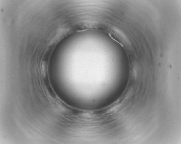 X0000088850121200706221710