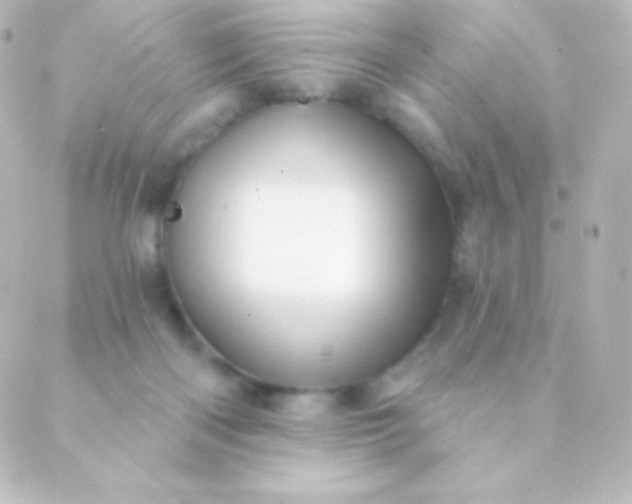 X0000088850122200706221710