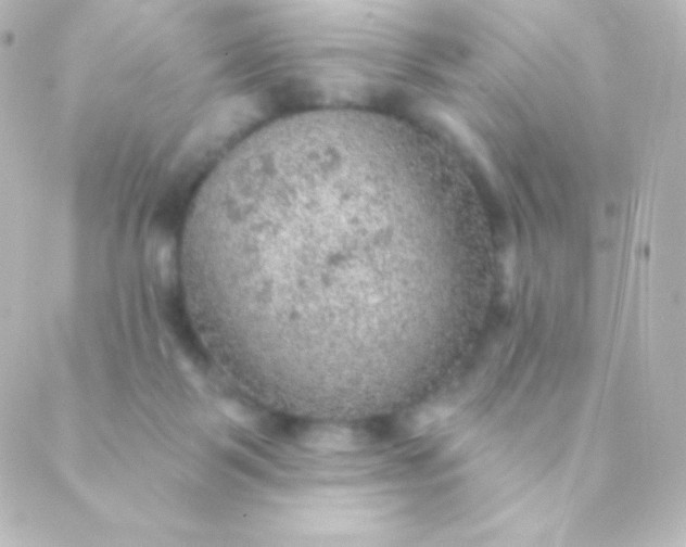 X0000088850123200706221710