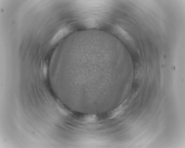 X0000088850124200706221710