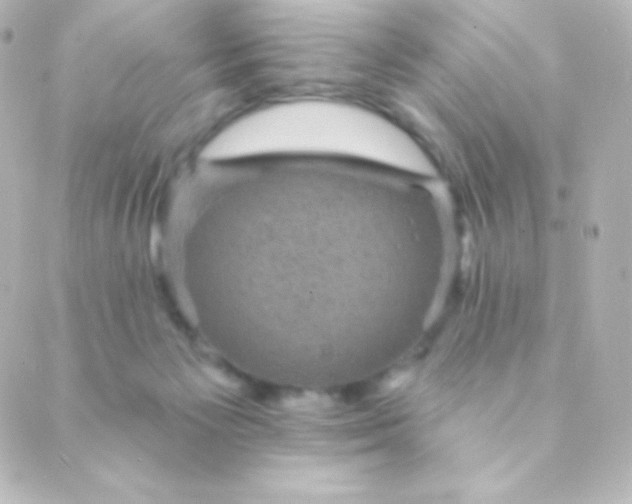 X0000088850125200706221710