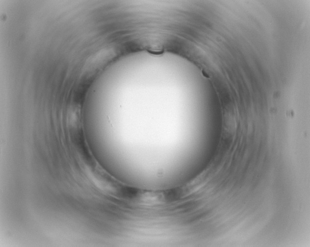 X0000088850126200706221710