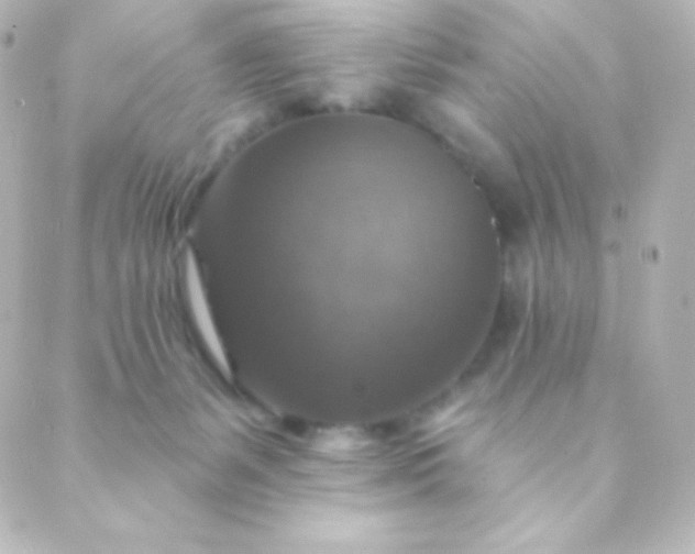 X0000088850127200706221710