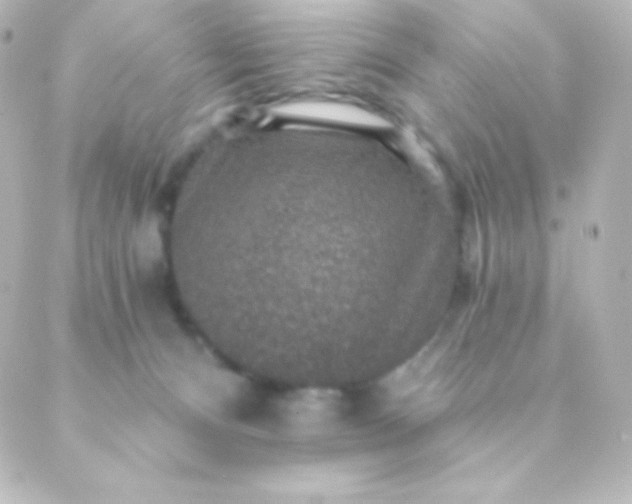 X0000088850128200706221710