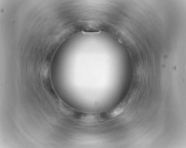 X0000088850129200706221710