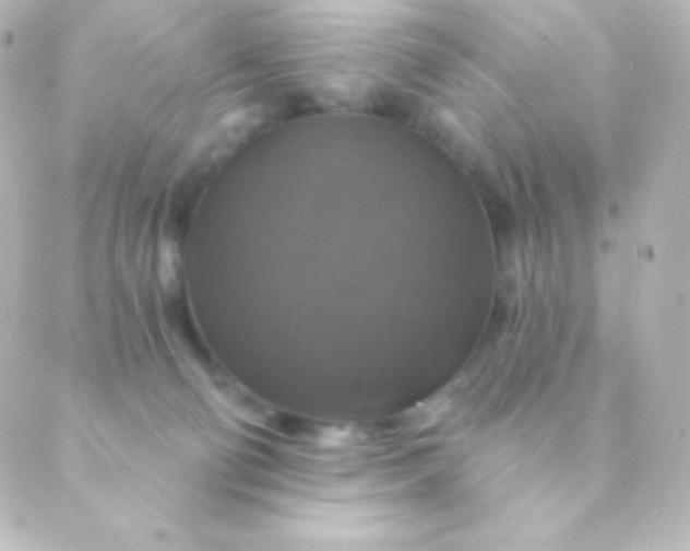 X0000088850130200706221710