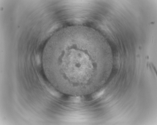 X0000088850131200706221709