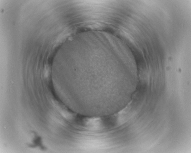 X0000088850132200706221709