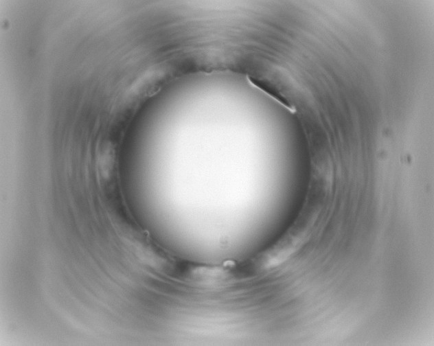 X0000088850133200706221709