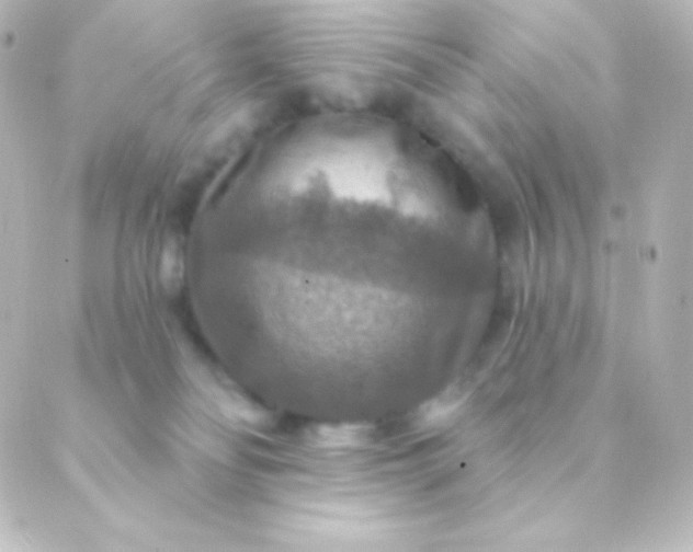 X0000088850134200706221709