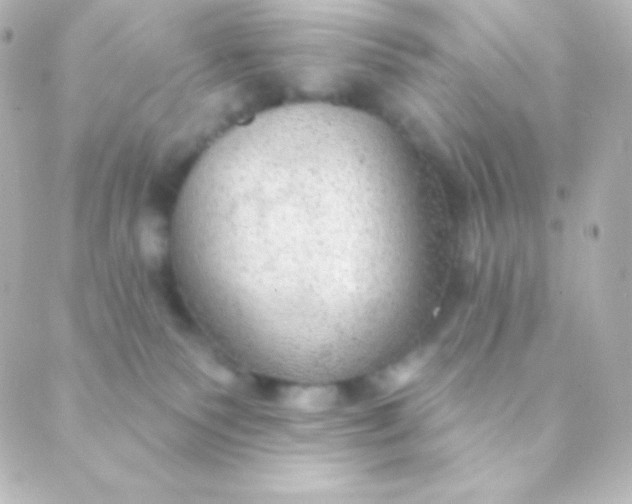 X0000088850135200706221709