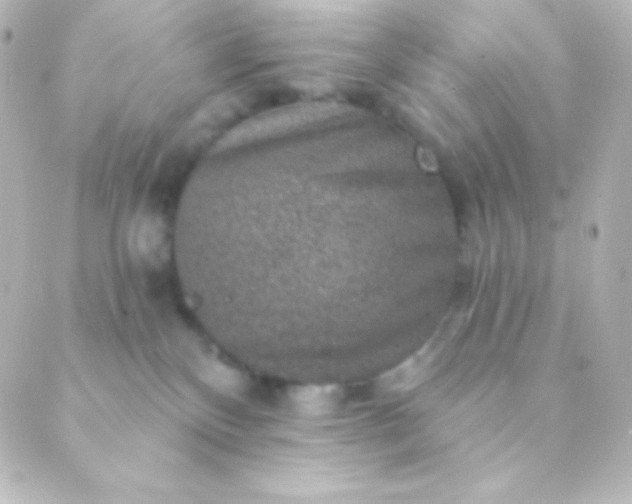 X0000088850136200706221709