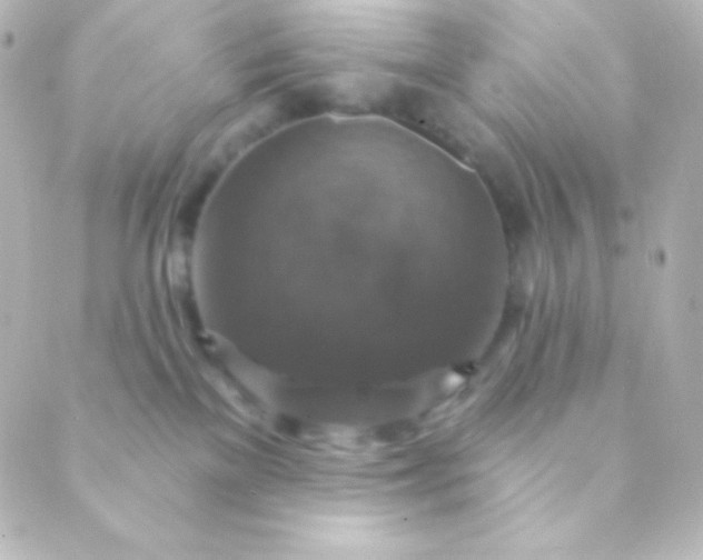 X0000088850137200706221709