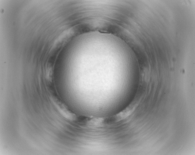 X0000088850138200706221709