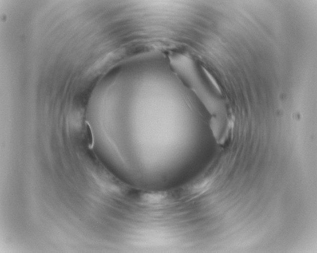 X0000088850139200706221709