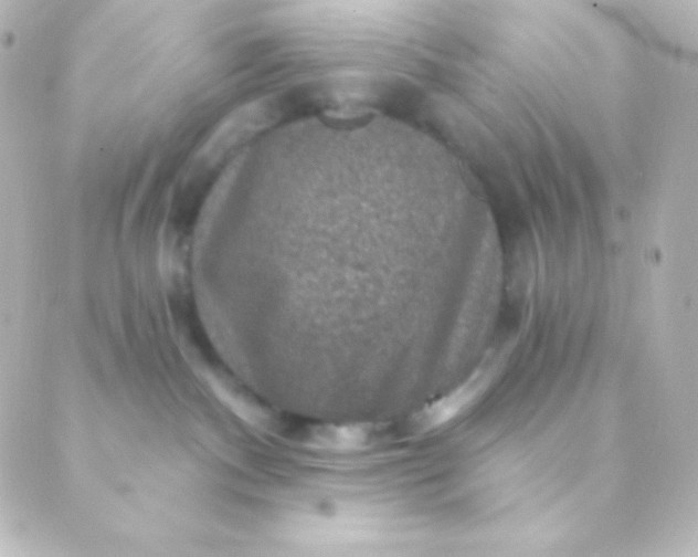 X0000088850140200706221709