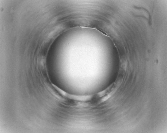 X0000088850141200706221709