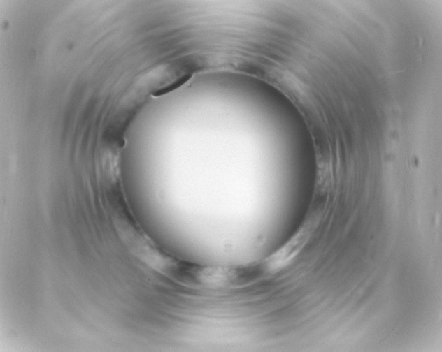 X0000088850142200706221709