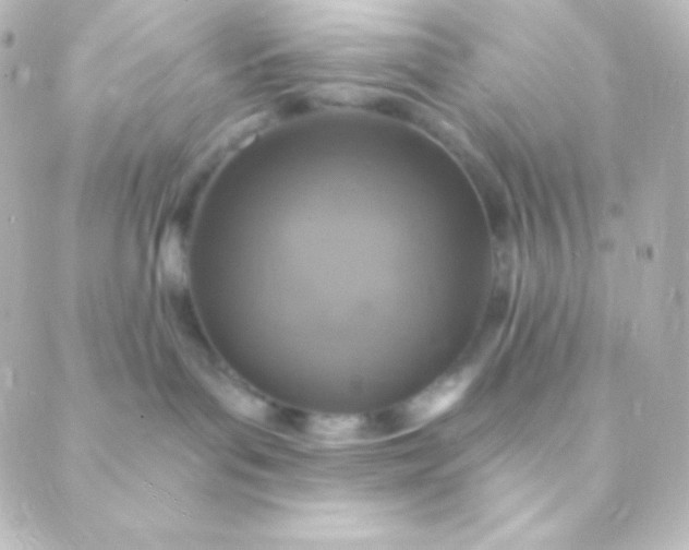 X0000088850143200706221709