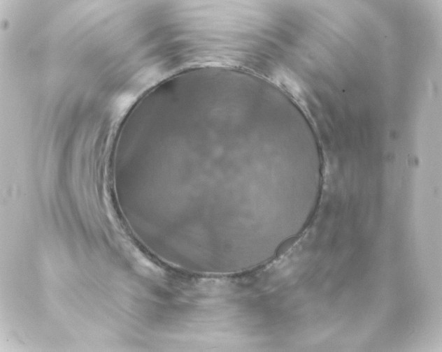 X0000088850145200706221709