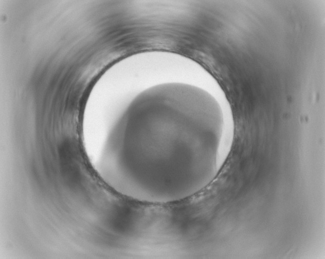 X0000088850146200706221709