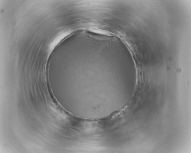 X0000088850147200706221709